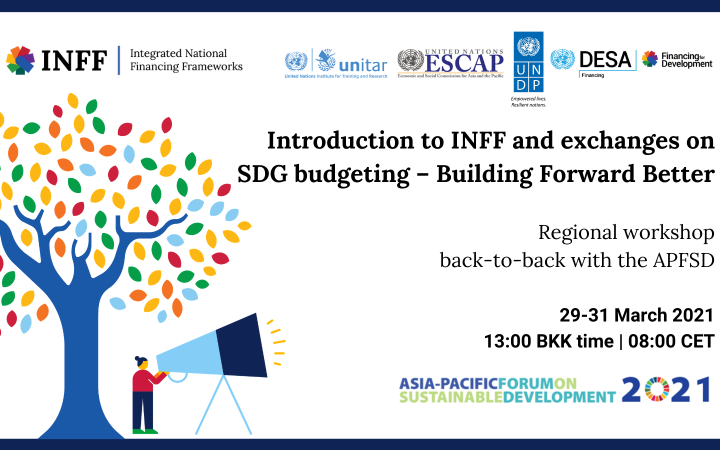 Training Workshop on Integrated National Financing Frameworks and Budgeting for the 2030 Agenda