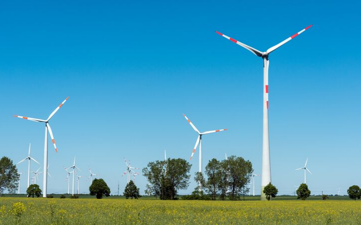 Partnership for Action on Green Economy (PAGE)